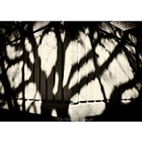 dailyPhoto3